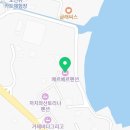 라피네 애견스파 이미지