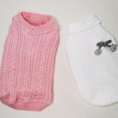 댕댕이,봄 이미지