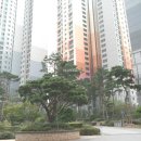 반포힐스테이트 이미지