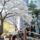 더원무예관 이미지