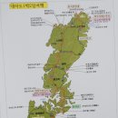 217차 대마도 1박2일 이미지