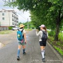 화본지 중간지점 | 양평 물소리길 6코스 후기｜장마철 용문역~용문산관광지 10.7km 걸어보니