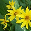 구구농장 이미지