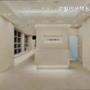 동물병원 오월의산책 네이버블로그