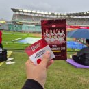 그린존 | 251001 한화이글스vsSSG랜더스 홈막경기 직관후기/몰리스그린존/KBO변색컵