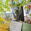 동신세탁 이미지