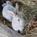 풍림농장 이미지