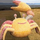 황토갯벌랜드2 이미지