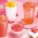 이디야영덕