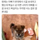 로그인 하도 이미지