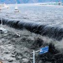 지구촌 수영장 이미지