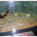 약사아이파크어린이집 이미지