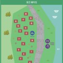 호명산잣나무숲캠핑장 이미지