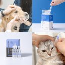 파트너동물의료센터 이미지
