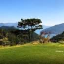 통영동원로얄유스호스텔 레스토랑 이미지