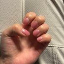 젤라또팩토리 내돈내산 후기