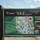 읍청루 | 2025년 5월 만휴정 통행제한, 묵계서원, 카페만휴정