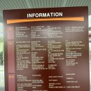 덕이동 마사지 | 더풋샵마사지 탄현제니스점 | 하체부종 케어 후기