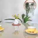 해피민박 이미지