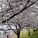 금호강1 이미지