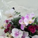 보건기프트 이미지