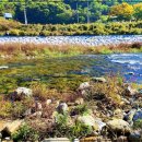 백두상가 이미지