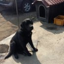 새중앙전문정비 이미지