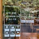코코진 이미지