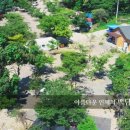 추억 만들기 캠핑장 이미지