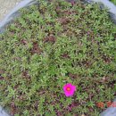 개금1동-20 이미지