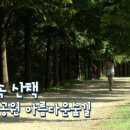 유학플래너 여행플래너