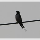 제비초등학교 이미지