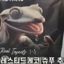 슈푸