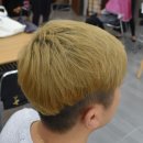 그린미용재료