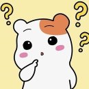 휩드 이미지