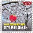 (주)온누리로 | [청주] 봄 여행 필수 코스 🍓 2026 딸기 팝업 페스타 + 벚꽃 명소 한 번에!
