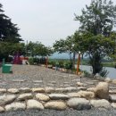 연어의추억