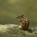 자연의선물 이미지