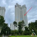 판교원로82번길 이미지