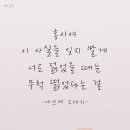 홍시