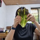 배부른밥집 이미지