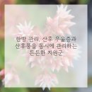 흥재침구과한의원 네이버블로그