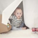 혜성사진관 이미지