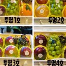 카페옴마푸룻