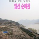 매화세탁소 이미지