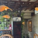 키무 | Day5. 발리우붓여행 파드마리조트 (수영장, 저녁뷔페, 그랩배달)