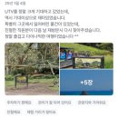 [하와이여행 투어] 쿠알로아랜치 UTV 랩터 :: 꼭 해봐야 할 하와이필수코스🤍 할인/예약/픽업