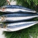 복산식품 이미지