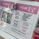 카페꽁냥 네이버블로그