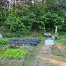 하정농장 이미지